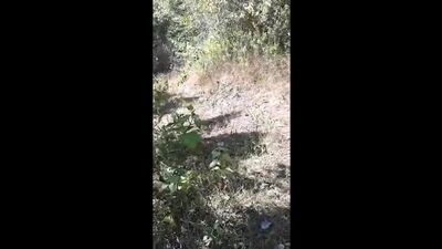 VIRAL: Caught by Residents, Told to Suck and Fuck - DoodStream