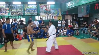 Karate Kyokushin [cinturão preto] vs Muay Thai