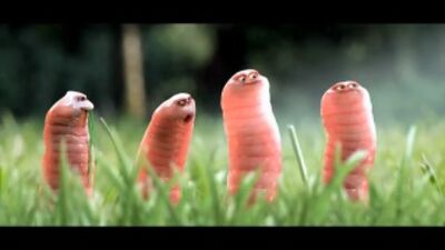 Короткометражний мультфільм про черв'ячків