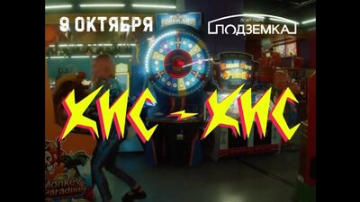 Новосибирскіде мысық-мысық!