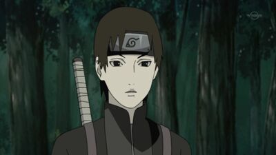 Episódio 238, 2.ª temporada - Naruto: Crónicas do Furacão / Naruto: Shippuuden