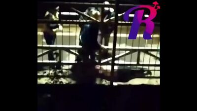 Video von „Gehört in Pawlowo“