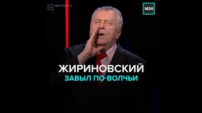 Zhirinovsky aulló como un lobo — Moscú 24