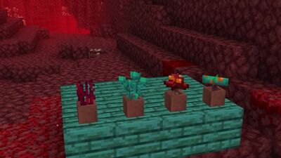 [Nerkin] Minecraft 1.16 Пекельне оновлення! 20w09a | Плачучий обсидіан, блок-мішень | Відкриття Minecraft