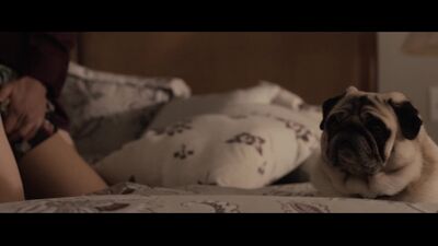 Sensual / Nua / Emily Blunt / Emily Blunt / Nua 1