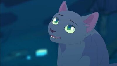 Animations-Kooperation zu „Warrior Cats“