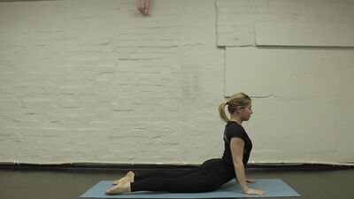 Ashtanga Namaskarasana, Chaturanga Dandasana
