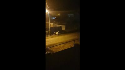 Chapaevsk está al tanto