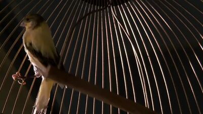 Angelina Jolie – Grzech pierworodny (2001)