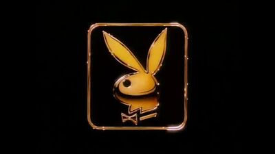 Playboy-Video-Playmate-Kalender (1991)