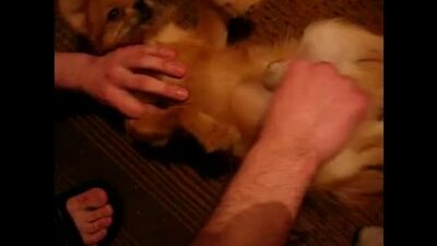 Un Tadjik se masturbe devant un chien