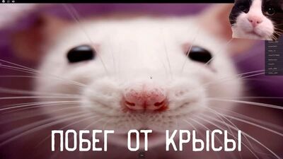 Roblox: Намагаюся вкрасти сир, як щур