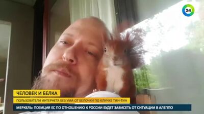 Anderson hat einen Falken und ein Eichhörnchen bei sich zu Hause aufgenommen