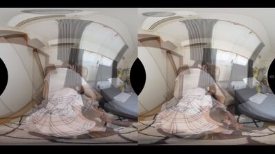 AJVR-216 n° 2