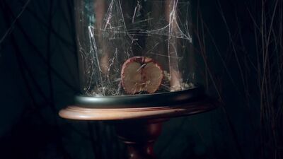Pimrypie - Dry (Teaser)