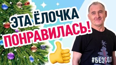 Ялинка сподобалася! Привітання з Новим роком від В'ячеслава Степановича #безсолі