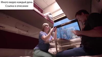 Мен пойызда бейтаныс қызбен жыныстық қатынасқа түстім, ол қарсы болған жоқ | Telegram-да тағы да жаңа видеолар