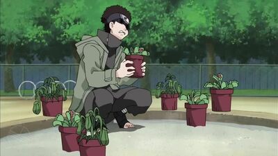 Hinata usiadła obok Shino #naruto #boruto #anime #naruto #boruto #anime #hentai #hentai #hinatahyuga #hinata #hinatahyuga #hinata
