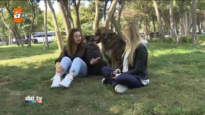 Интервью Аслы Самат для «Dizi TV»