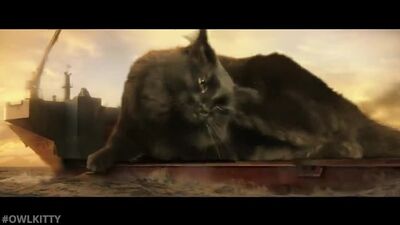 [OwlKitty] Godzilla contre OwlKitty (Dans les coulisses)