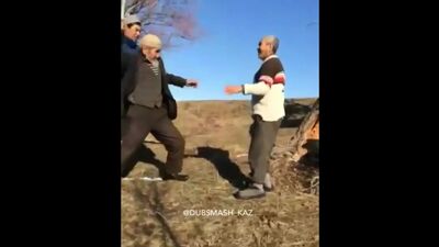Wild Fun