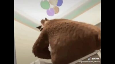 PORNO ANIMALERIE AVEC UN OURS EN QUALITÉ HD : UN HOMME RUSSE A BAISÉ UN OURS PAR LE CUL ET A JOUÉ DOUX DANS SON ANUS