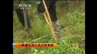 Video17