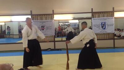 Demostración de aikido en el club «Lenkai» (San Petersburgo, agosto de 2014)