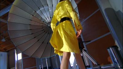 Paincoater (tiré de « House Pets » d'Andrew Blake)