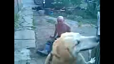 Joder, hacía tiempo que no me reía tanto... ))) : ¡Bóbik, vete a la mierda!!! _ )))