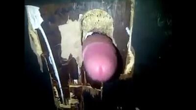 Glory-Hole went to the bathroom to suck through a hole—sex porn mintk