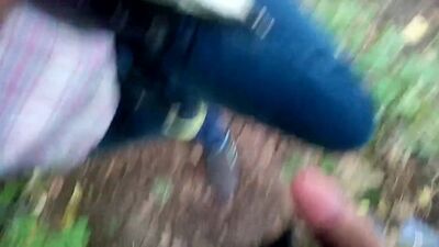 They're having sex in the bushes