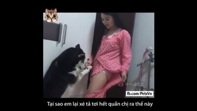 The Troll Girl Died