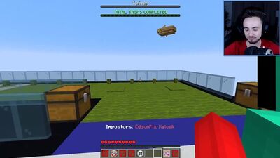 Os traidores têm sempre a mesma cor no Among Us e no Minecraft