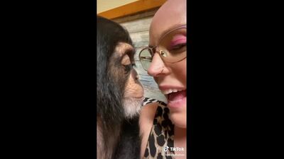 Zoo porno scimmia macaco scimmia gorilla primate scimmietta