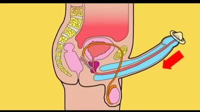 How to Have Sex Right)
