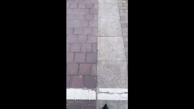 Dan Zuzong – Trening niewolnic na świeżym powietrzu