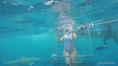During the filming of a porn movie, a shark bit an actress