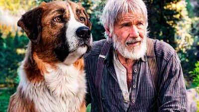 Os 10 melhores filmes de 2020 por género