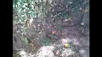 Ich bin mit einem Freund spazieren gegangen, er hat mir angeboten, an einem Lutscher zu lutschen, ich habe das wörtlich genommen und wir haben es im Gebüsch getrieben