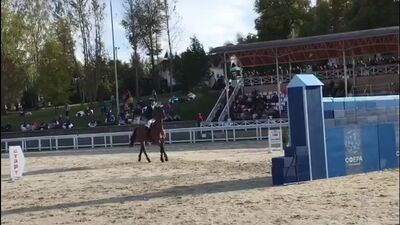 Vadim Cherevan franchit la barre des 190 cm lors de la Coupe du gouverneur de la région de Tula au centre équestre « Grumant »