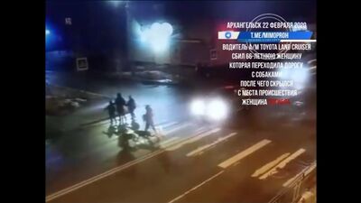 Un hombre atropelló a una mujer que iba con sus perros en un paso de peatones y se dio a la fuga. Arkhangelsk, 22 de febrero de 2020