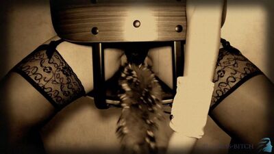 Un spectacle vintage de Playboy avec Bunny Diva, la garce des affaires