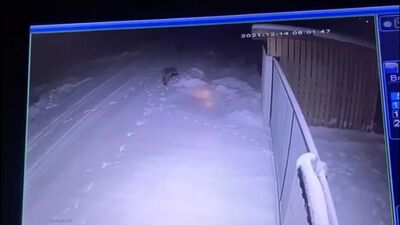 Відео від ЖЕСТЬ ПО-АРХАНГЕЛЬСЬКИ «VIP»