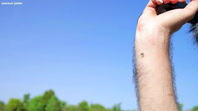 [James el Lámpara] VLOG: De vuelta al BOSQUE: en busca de GAFAS