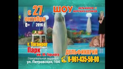 Delphinário em Taganrog 2016