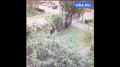 A Pervouralsk una madre ubriaca ha investito un pedone