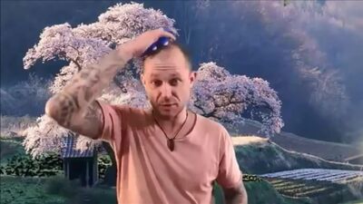 Warum werden die Haare grau und wie kann man graue Haare ohne Färben entfernen?