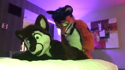 Dois furries gays a foder 2
