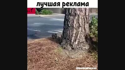 Найкраща реклама Snikers